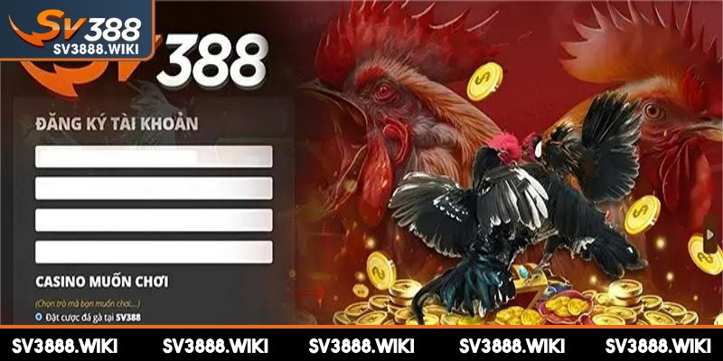 Nhà cái thường xuyên cung cấp nhiều chương trình ưu đãi lớn